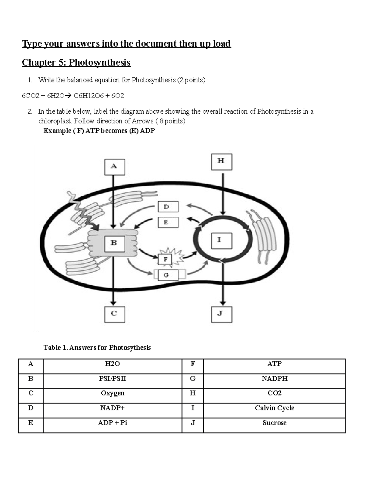 Photosynthesis Diagrams Worksheet Answer Key Photosynthesis GCSE