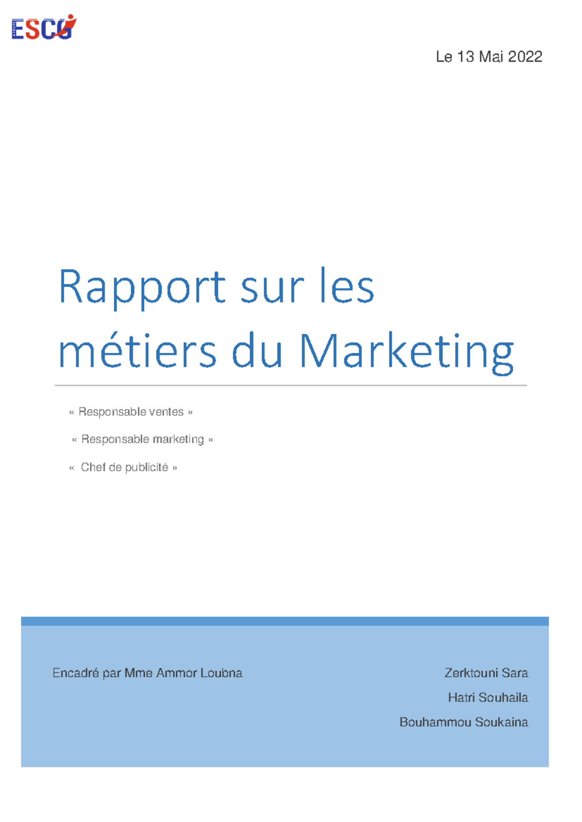 Rapport projet TEC S4 - Rapport sur les métiers du Marketing ...