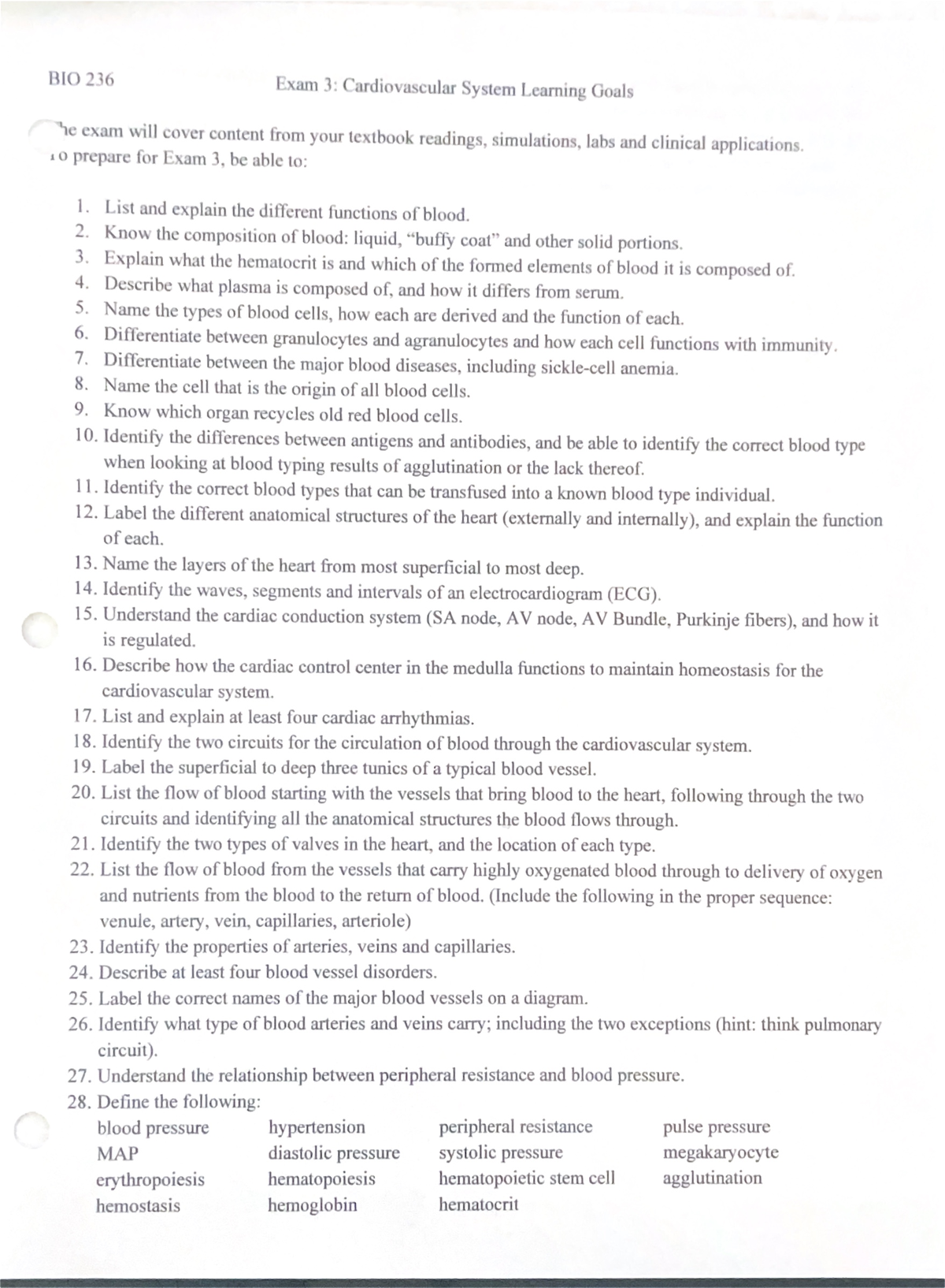 Final Exam Study Guide: Strategies and Key Concepts for Success - BIO ...