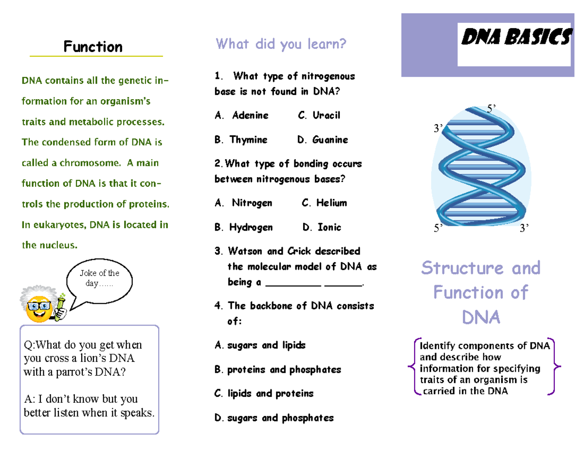 DNA Basics: Structure and Function Review (Course Code: DNAB-1) - Studocu