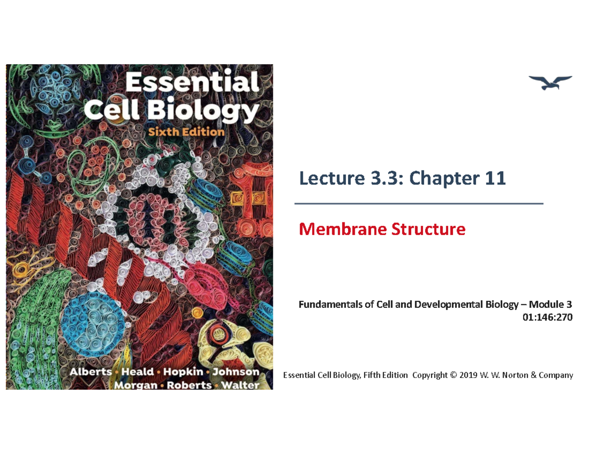 Lecture 3.3: Chapter 11 - Membrane Structure - Studocu