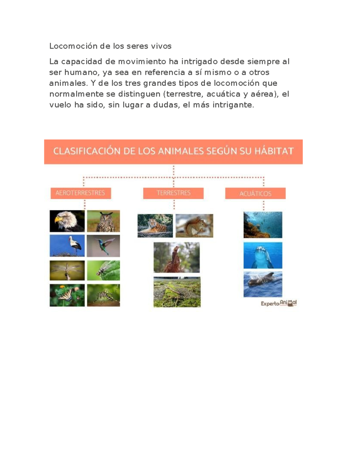 Locomoción de los seres vivos - Ciencias Sociales - Locomoción de los ...