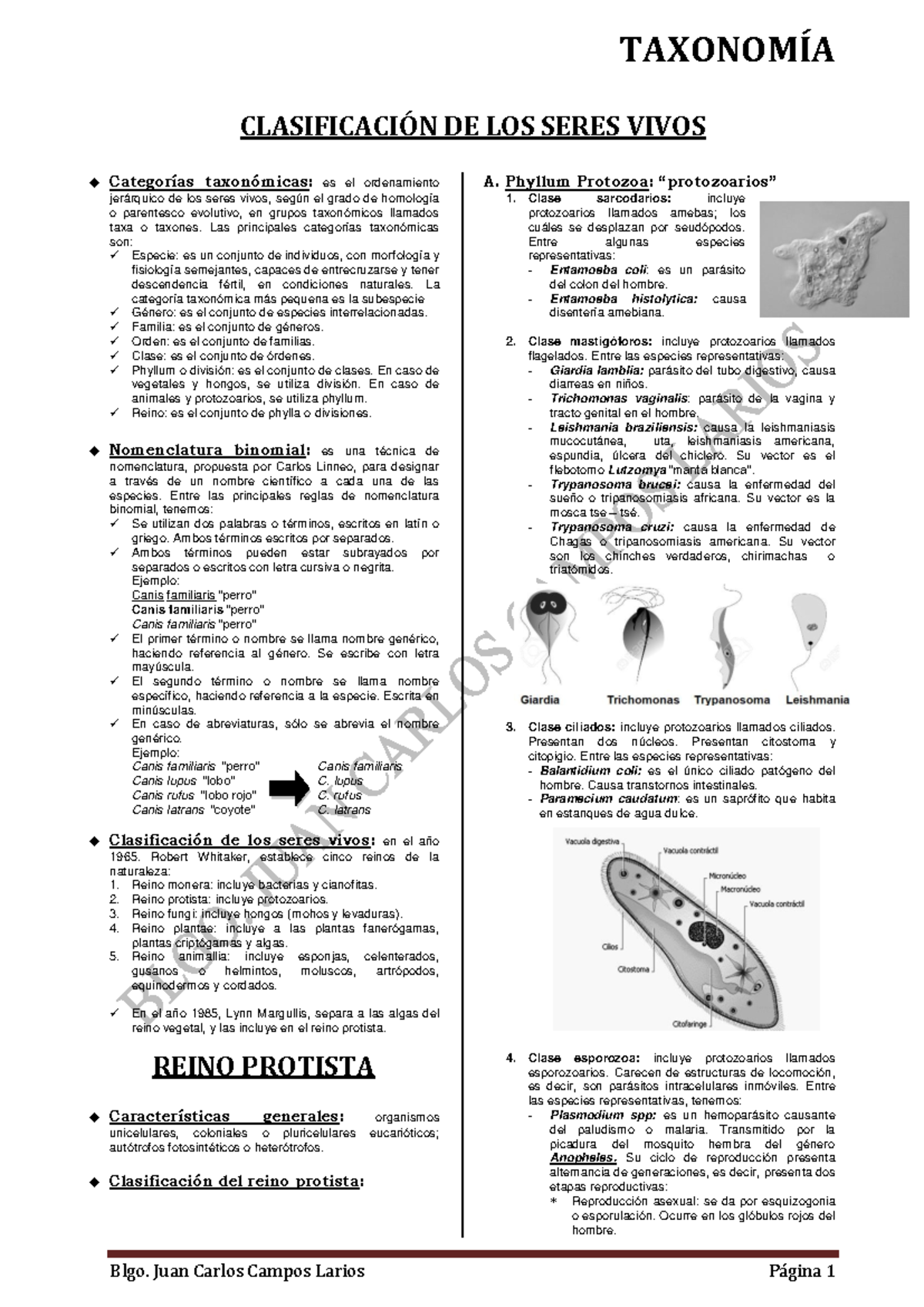 Clasificación de Seres Vivos: Taxonomía y Nomenclatura Biológica - Studocu