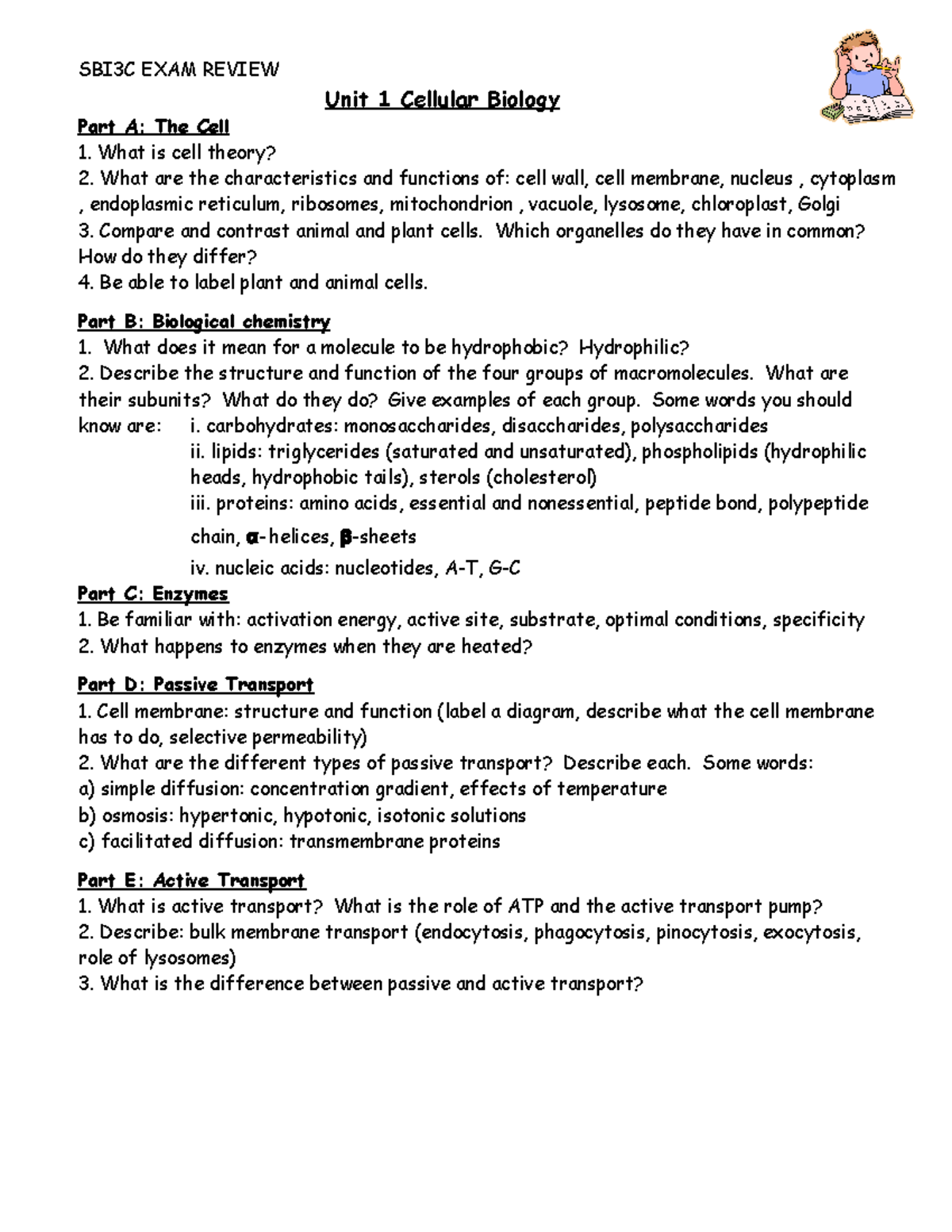 SBI3C Midterm Exam Review: Cellular Biology & Biological Chemistry ...