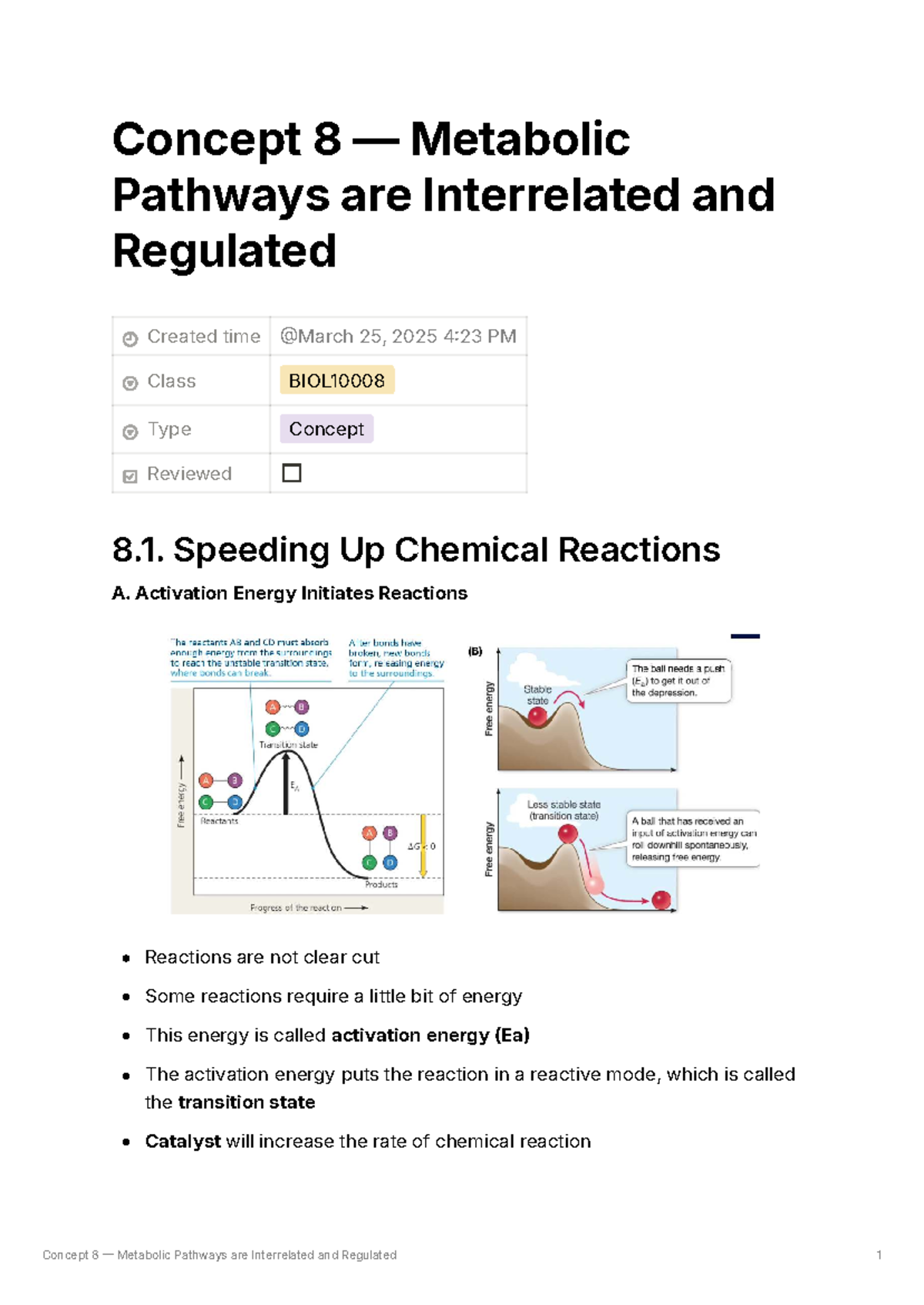 Concept 8: Interrelation and Regulation of Metabolic Pathways - Studocu