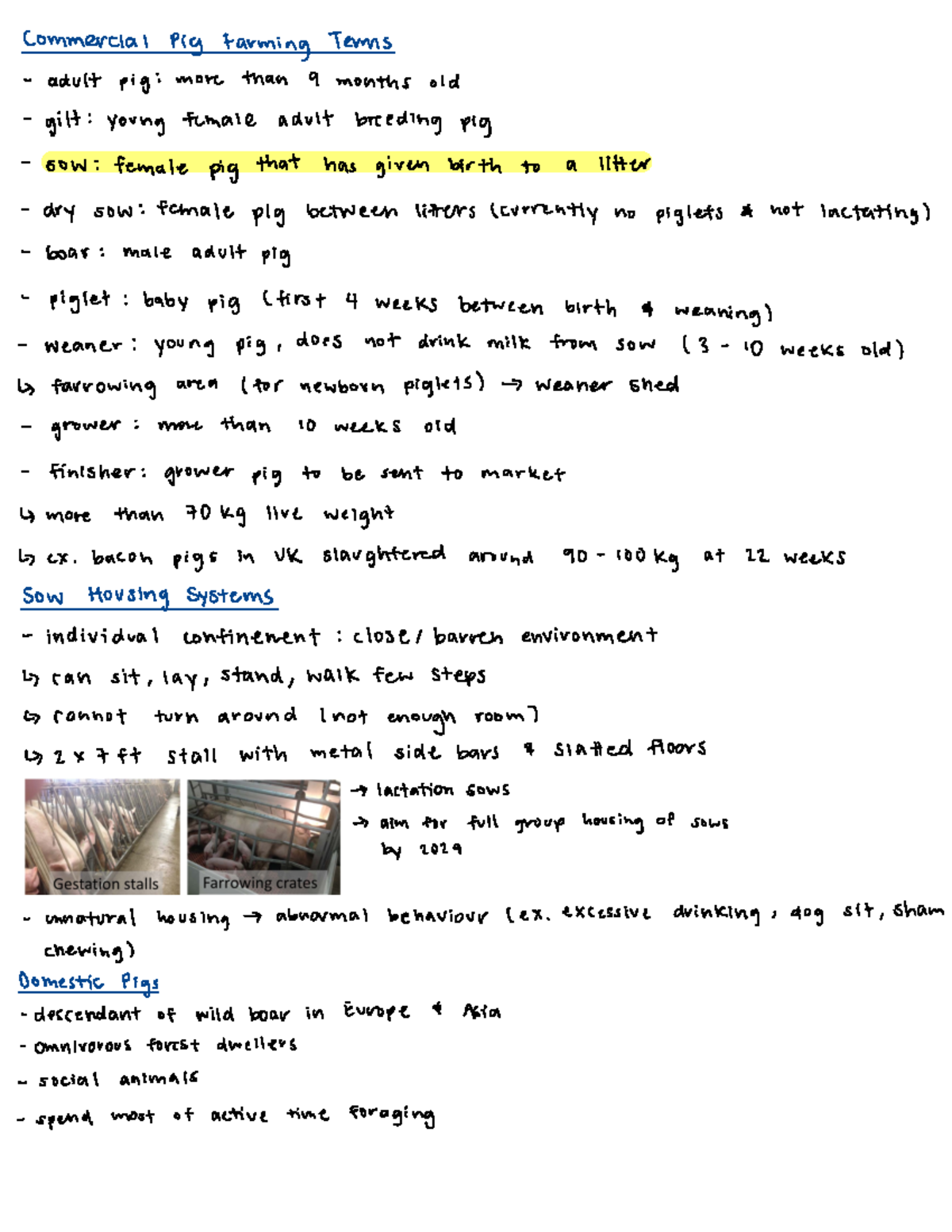 ANSC2210 Lecture 2 Notes - Commercial Pig Farming Terms adult pig ...