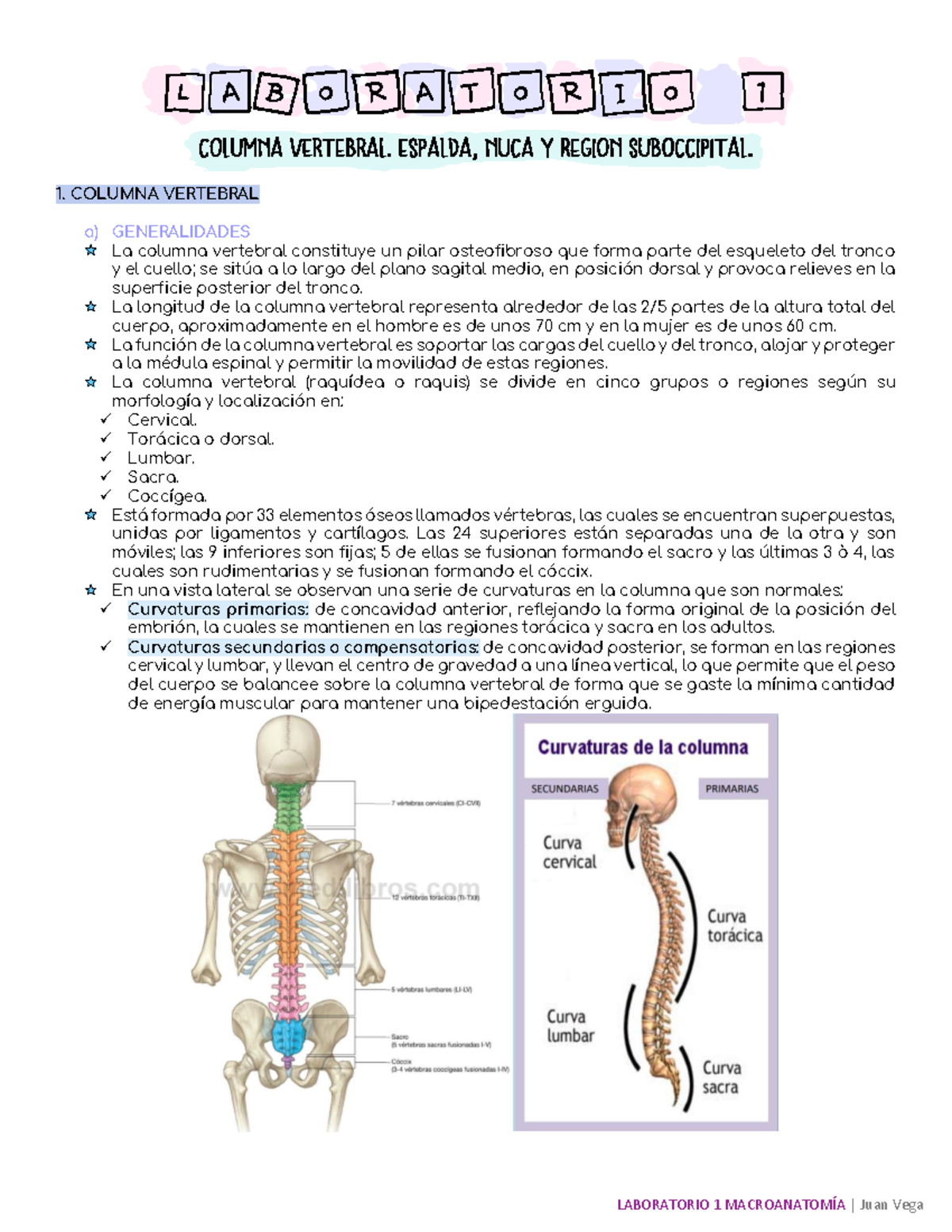 Generalidades De La Columna Vertebral 1ra Parte Anatomia Humana