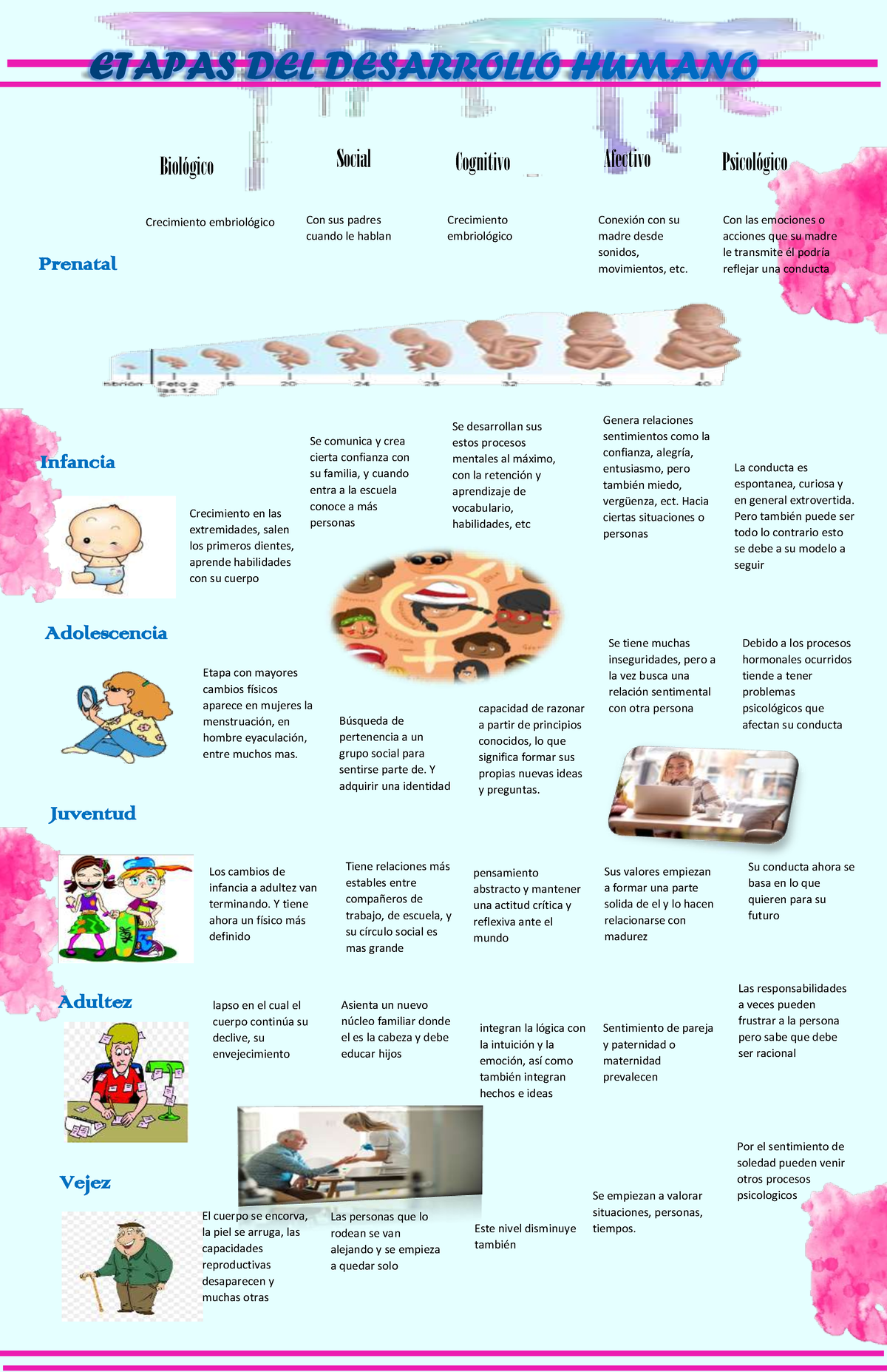 Infografia etapas de desarrollo - Prenatal Infancia Juventud ...