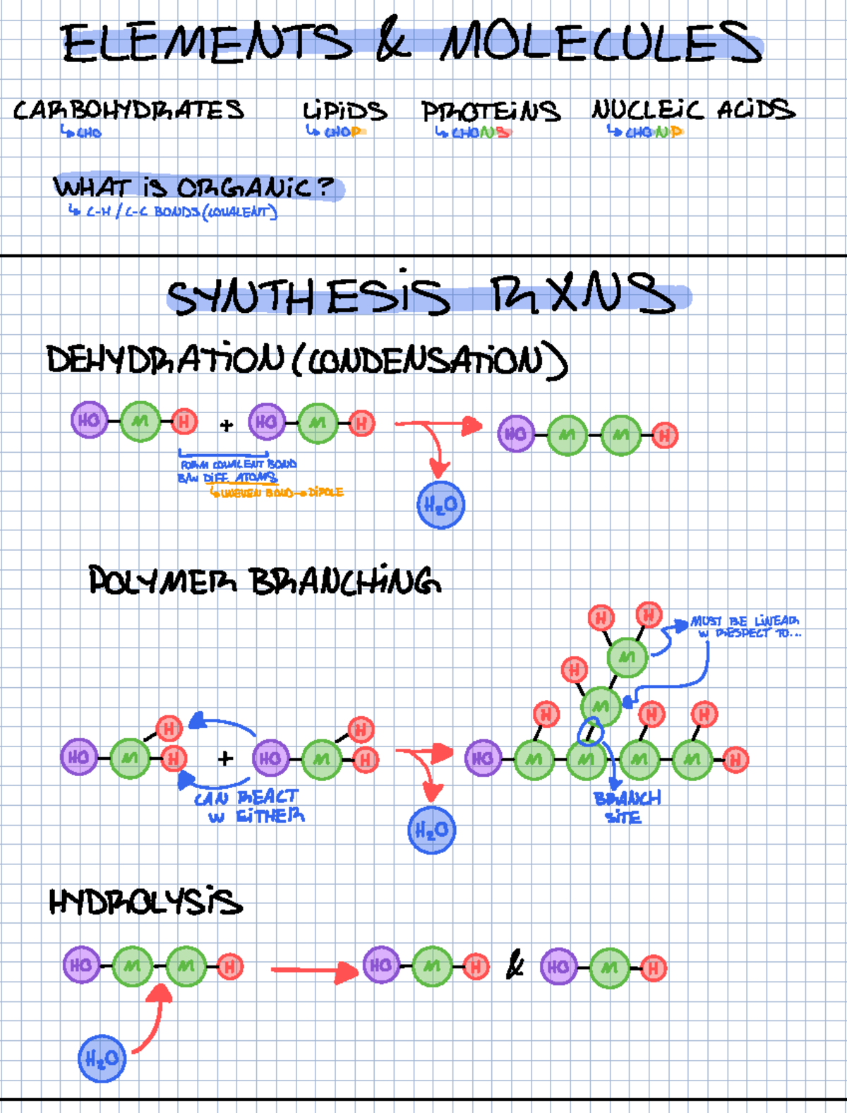 Molecules of Life: Carbohydrates, Lipids, Proteins, and Nucleic Acids ...