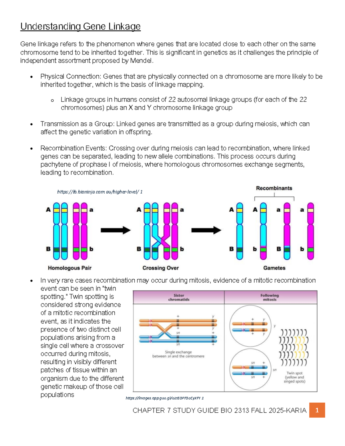 Chapter 7 Study Guide: Gene Linkage Concepts (BIO 2313, Fall 2025 ...