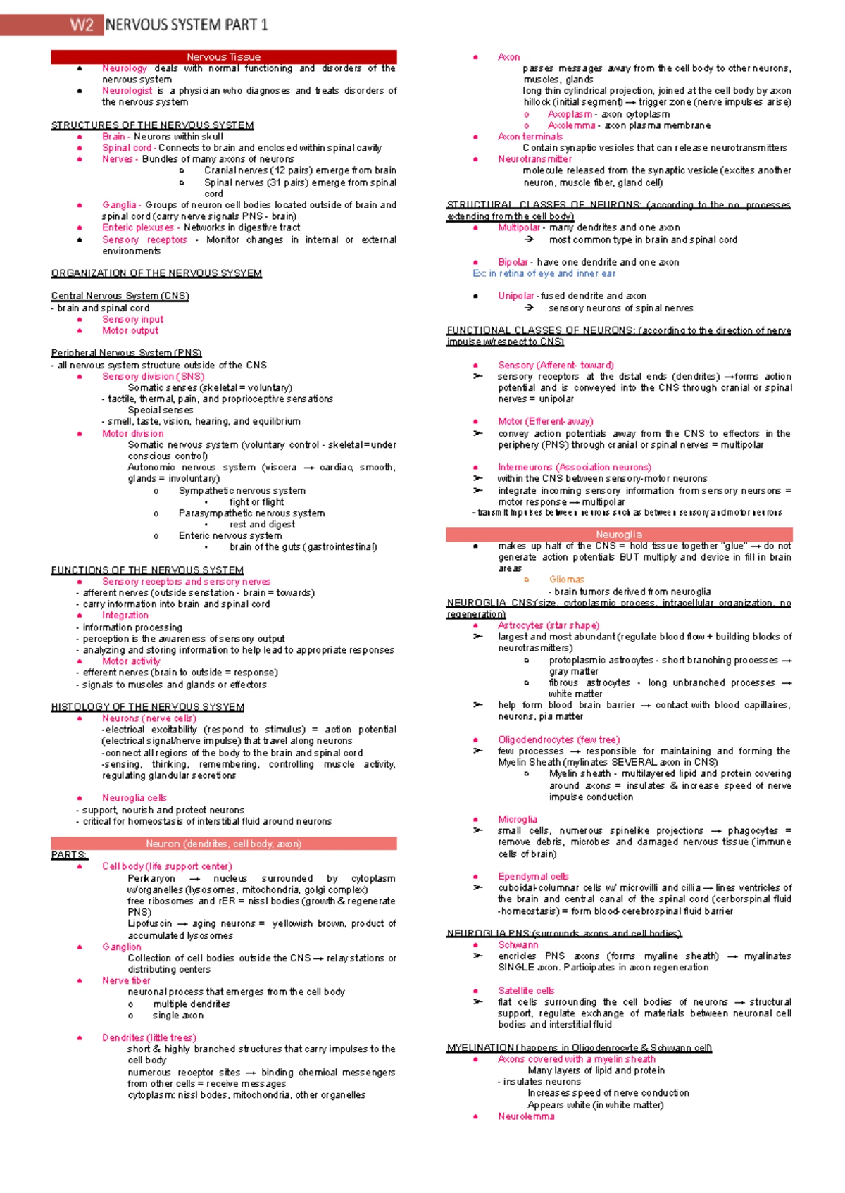 Anaphy Lec: Digestive System Overview and Key Concepts - Studocu