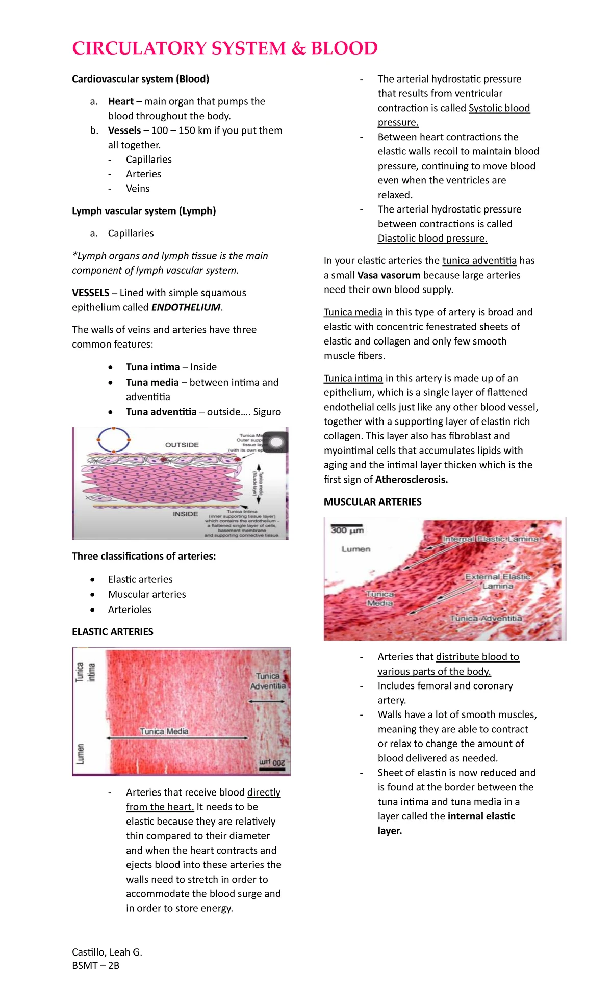 Human Histology LECTURE: Circulatory System Overview and Components ...