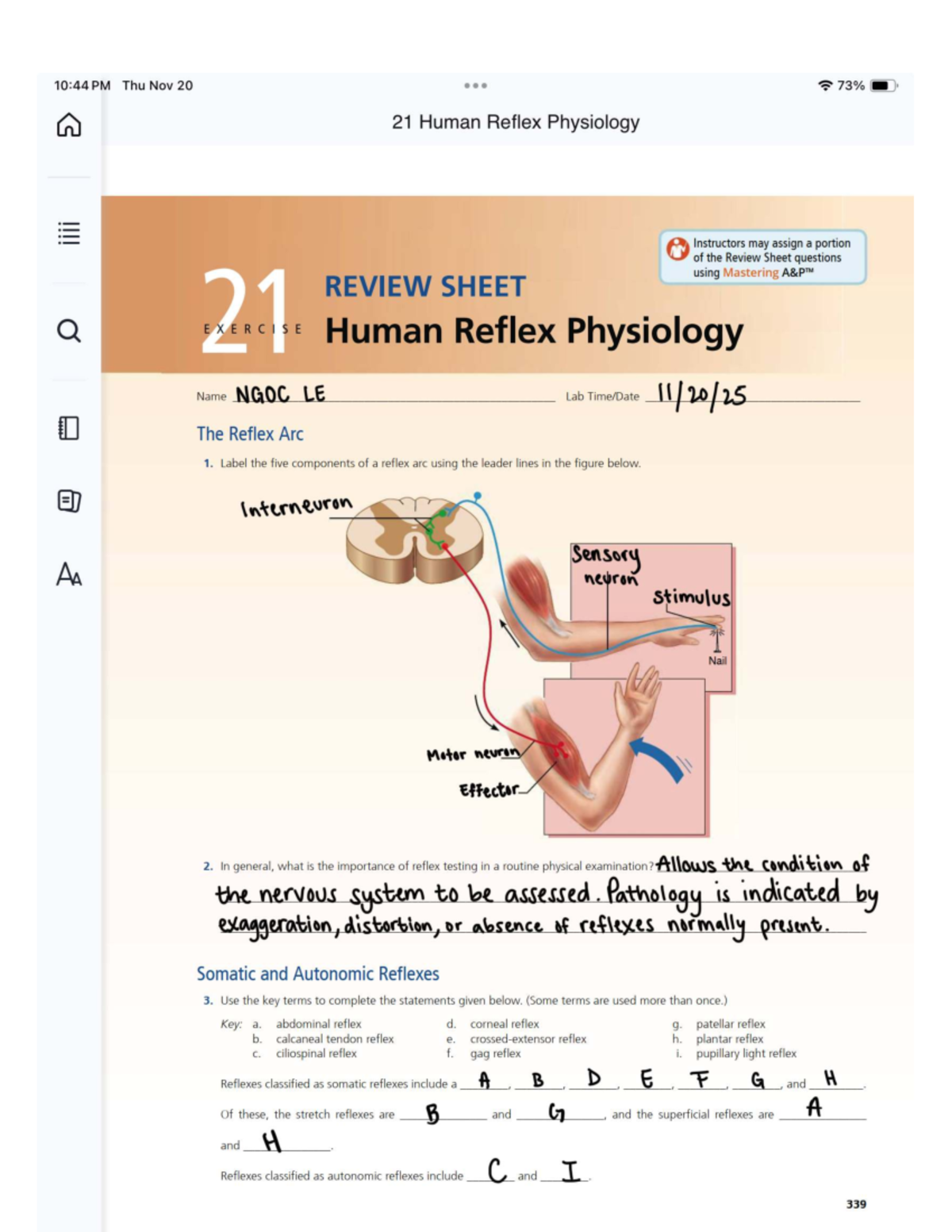 Human Reflex Physiology Review Sheet (Lab HW WK4) - Studocu
