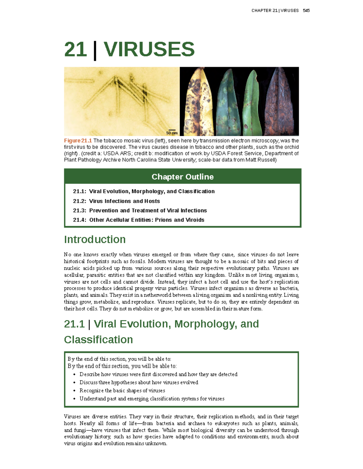 CHAPTER 21: VIRUSES - Comprehensive Overview of Structure & Function ...
