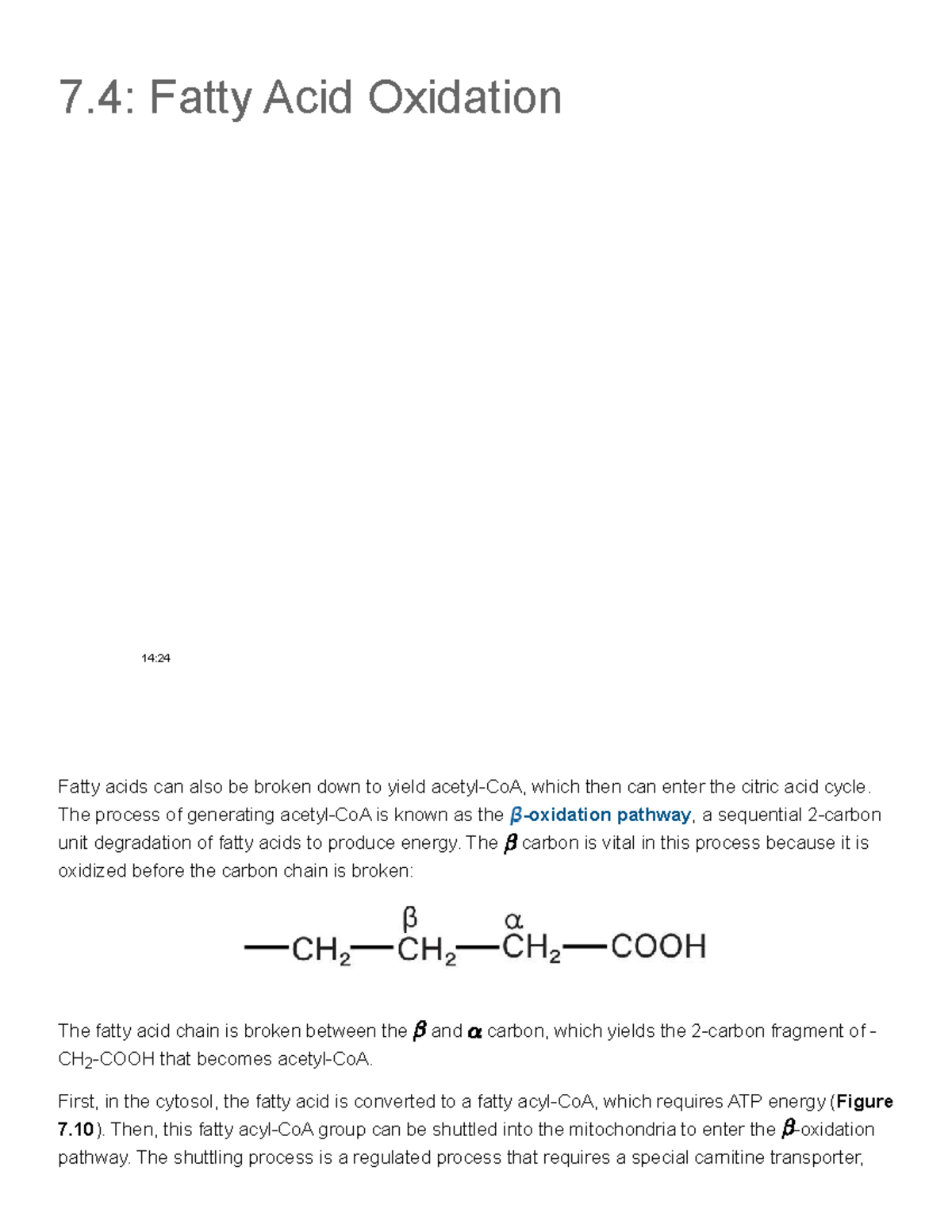 7.4: Fatty Acid Oxidation - Lecture Notes - Studocu