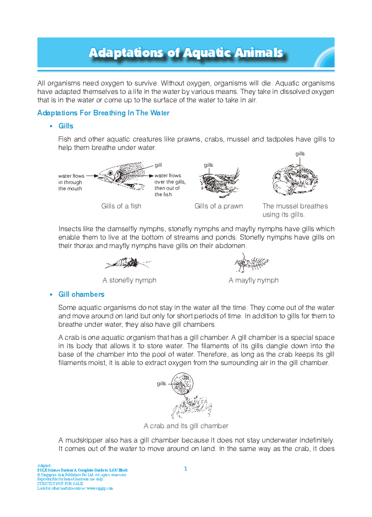 PSLE Science L&U: Adaptations of Aquatic Animals Explained - Studocu