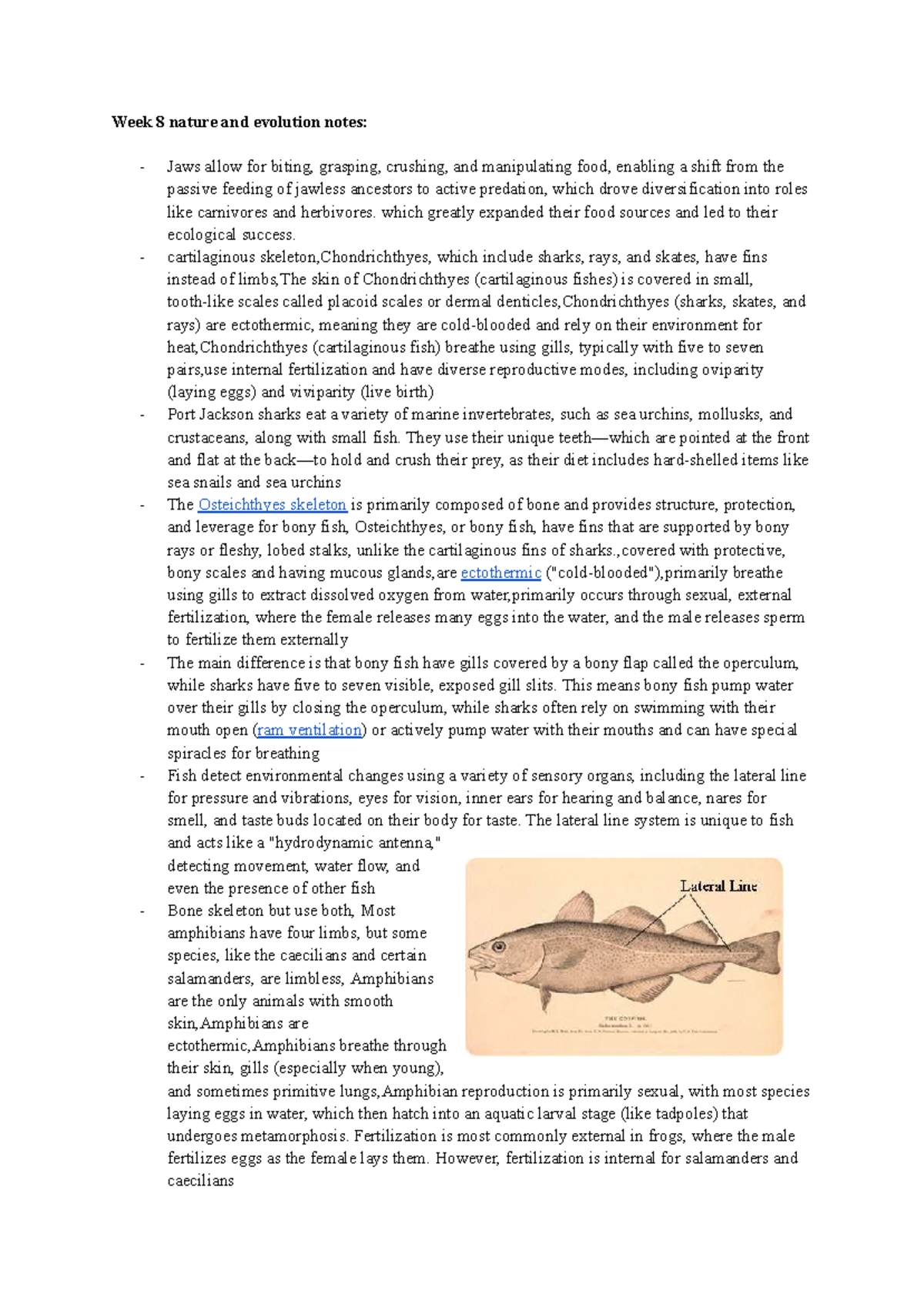 Week 8 Nature & Evolution Notes: Jaws, Fins, and Fish Adaptations - Studocu