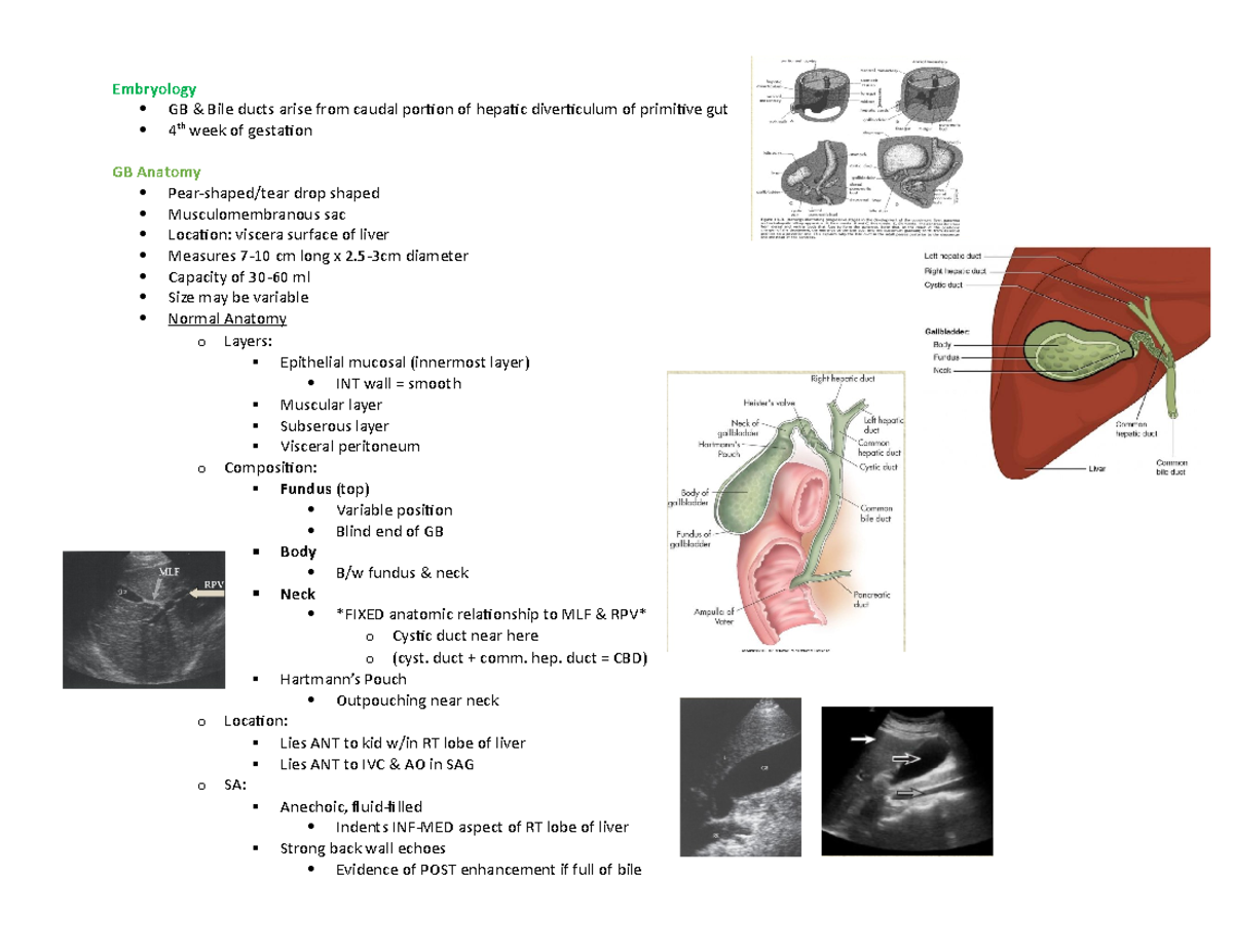 ABD I - Test #3 - Gallbladder Anatomy/Pathology Insights - ULTRASOUND ...