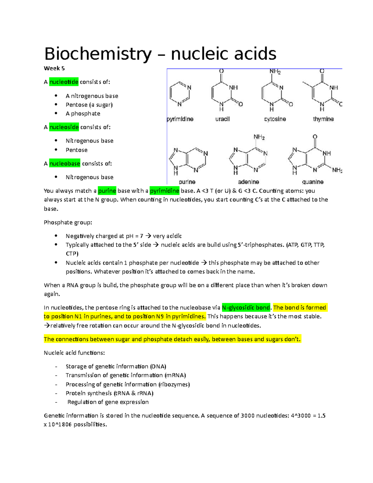 Biochemistry 101: Nucleic Acids Overview and Key Concepts - Studeersnel