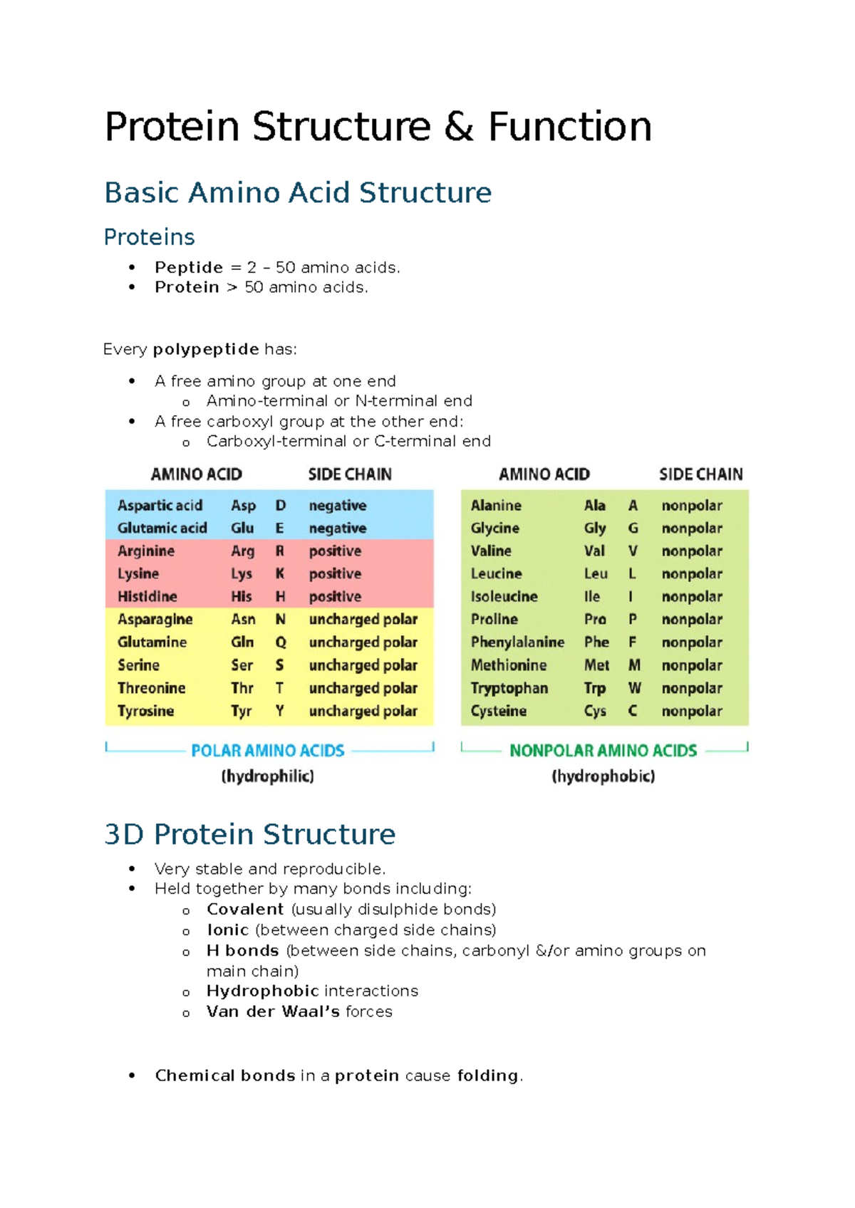 Protein Structure & Function: A Comprehensive Overview of 3D Folding ...