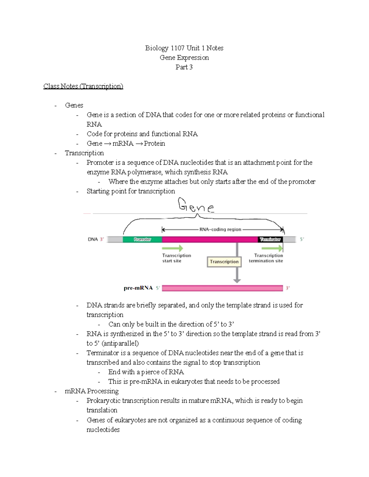 Biology 1107 Unit 1 Notes: Gene Expression & Transcription Insights ...