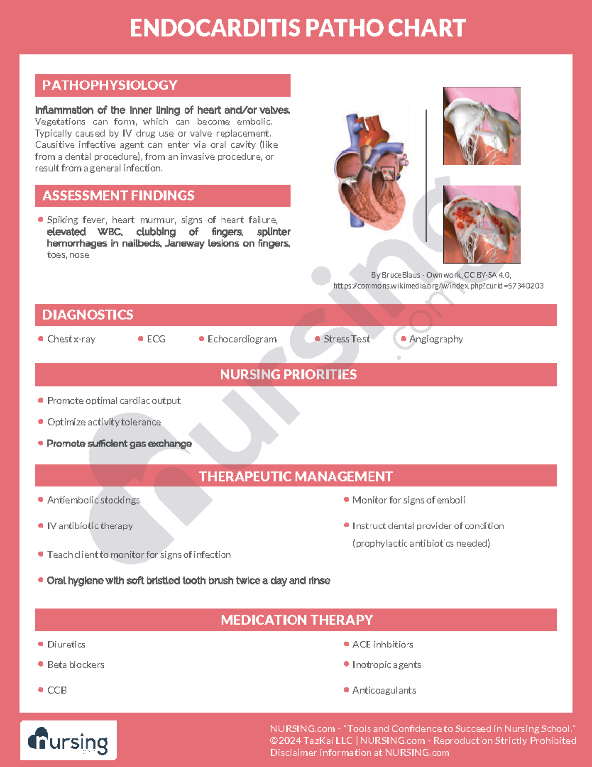Cs-cardiac-042-endocarditis patho chart-2 - ENDOCARDITIS PATHO CHART ...