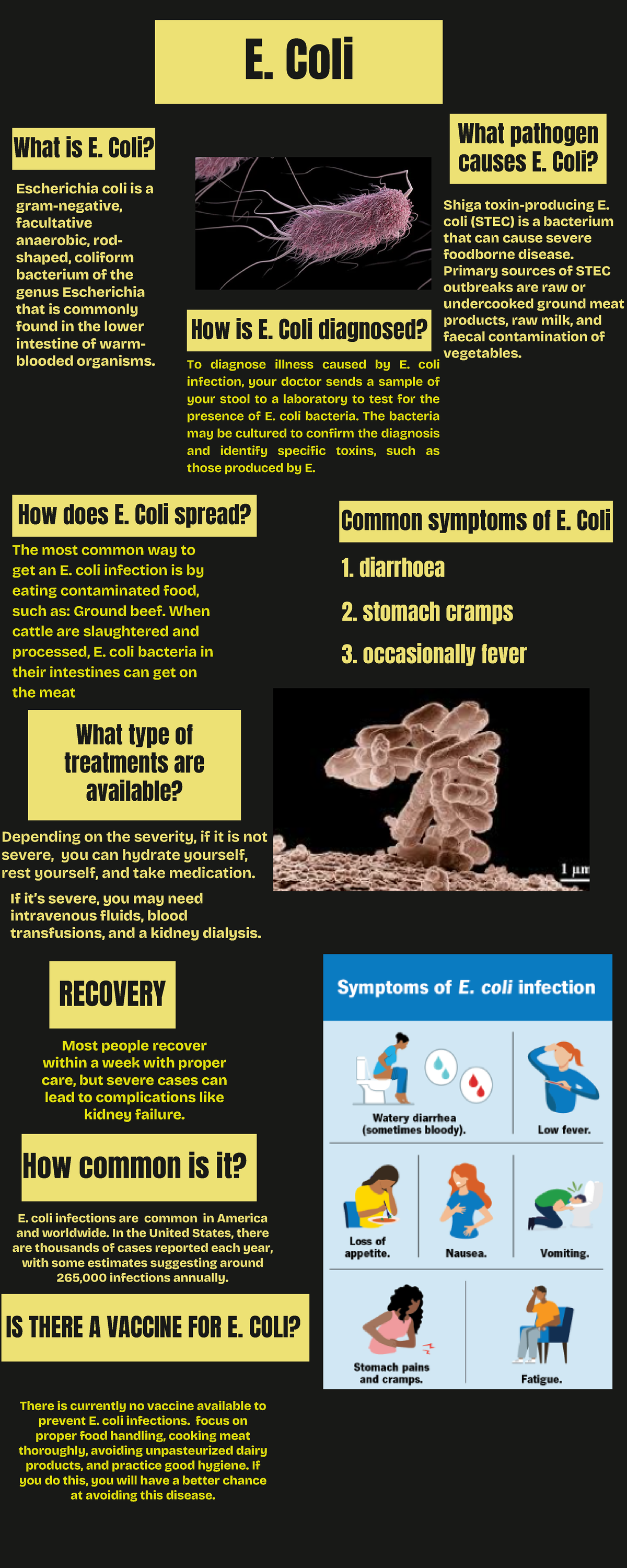 E Coli Causes And Symptoms