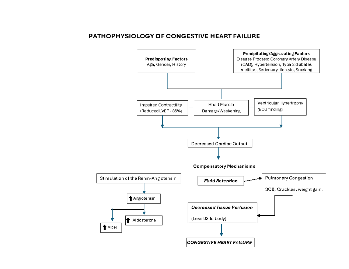Pathophysiology OF Congestive Heart Failure - PATHOPHYSIOLOGY OF ...
