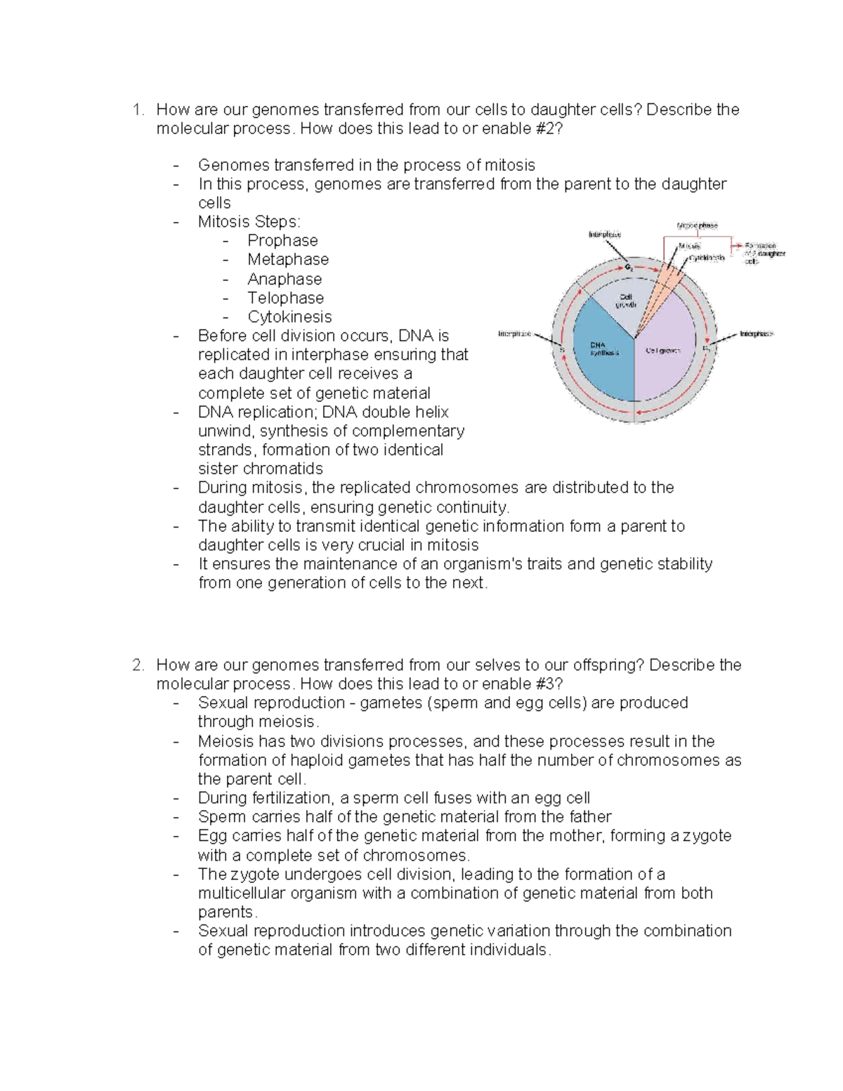 Genetics Tutorial 1: Mitosis & Meiosis Processes Explained - Studocu