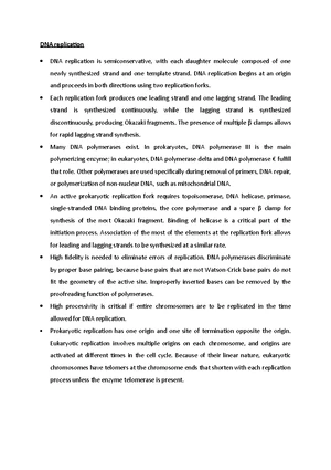 DNA Replication - Study Notes & Assignments - Studocu