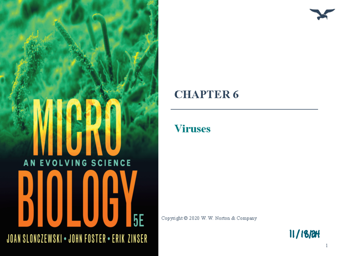 Chapter 6 - Comprehensive Overview of Viruses and Their Structure - Studocu
