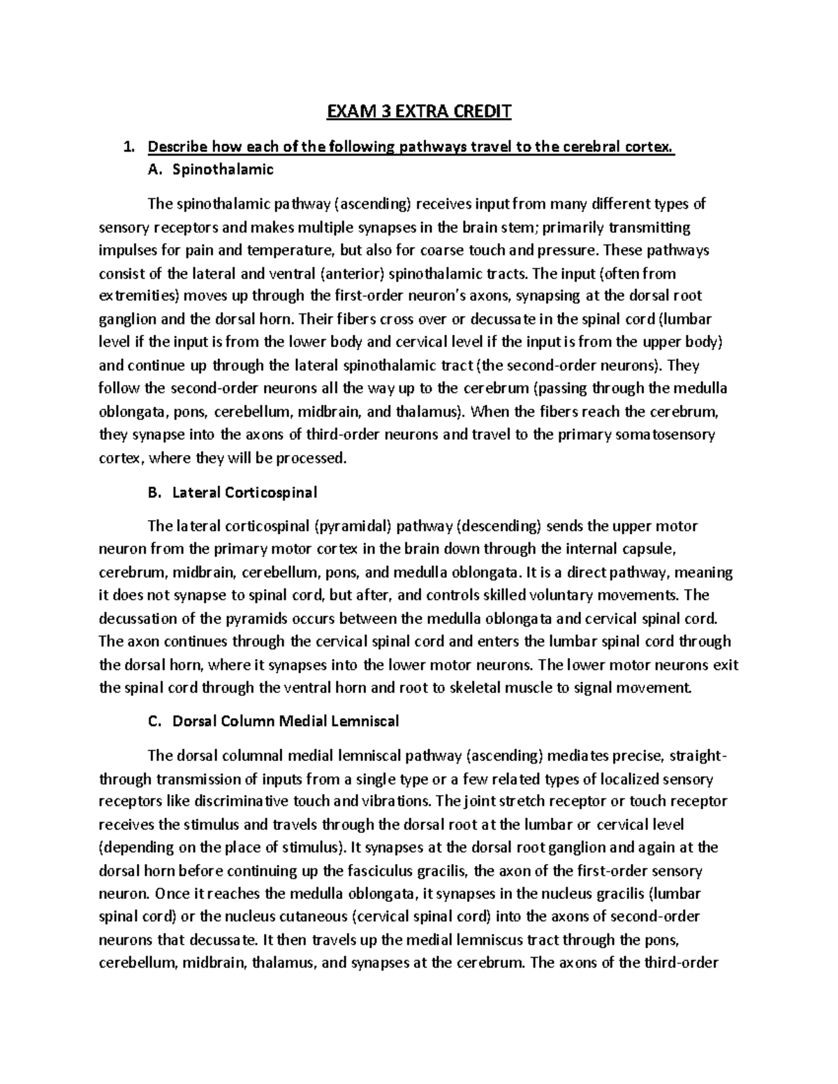 A&P Exam 3 Extra Credit: Pathways to the Cerebral Cortex and Dizziness ...
