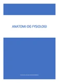 Anatomi og fysiologi i sykepleie - Grunnleggende om menneskekroppen