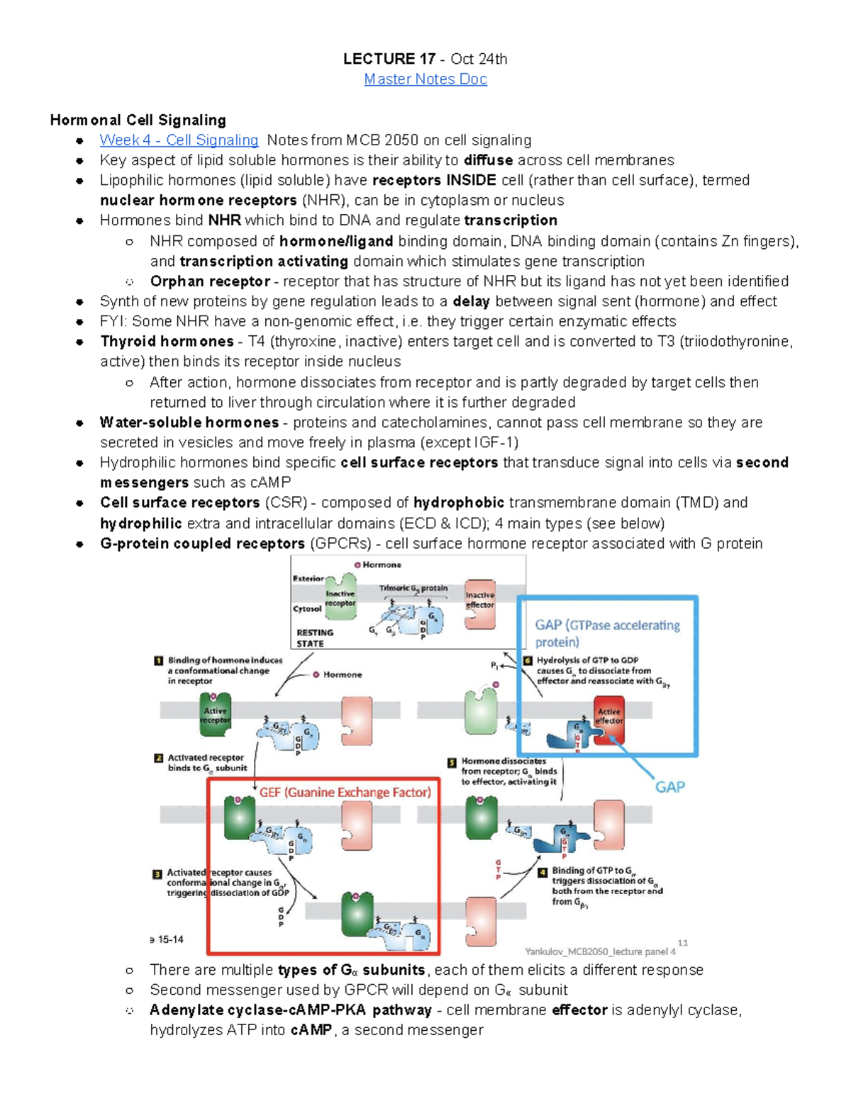ANSC 3080 Week 7 - Hormonal Signaling & Action Lecture Notes - Studocu
