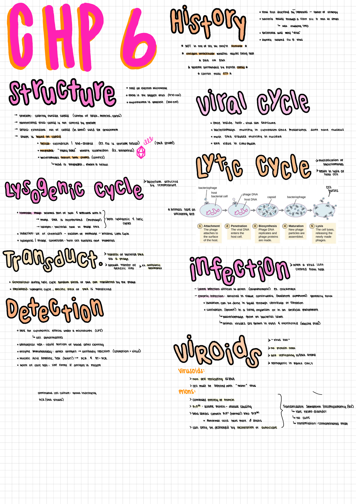 Micro 2 - These notes were taken from lectures and powerpoints ...