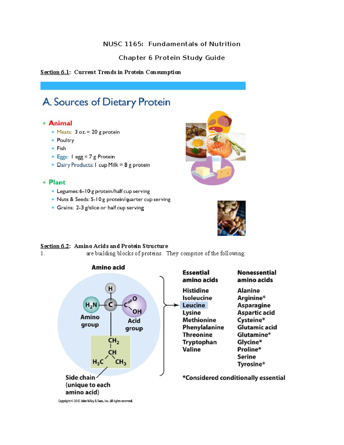 NUSC 1165: Exam 3 Study Guide on Protein and Nutrition Concepts - Studocu