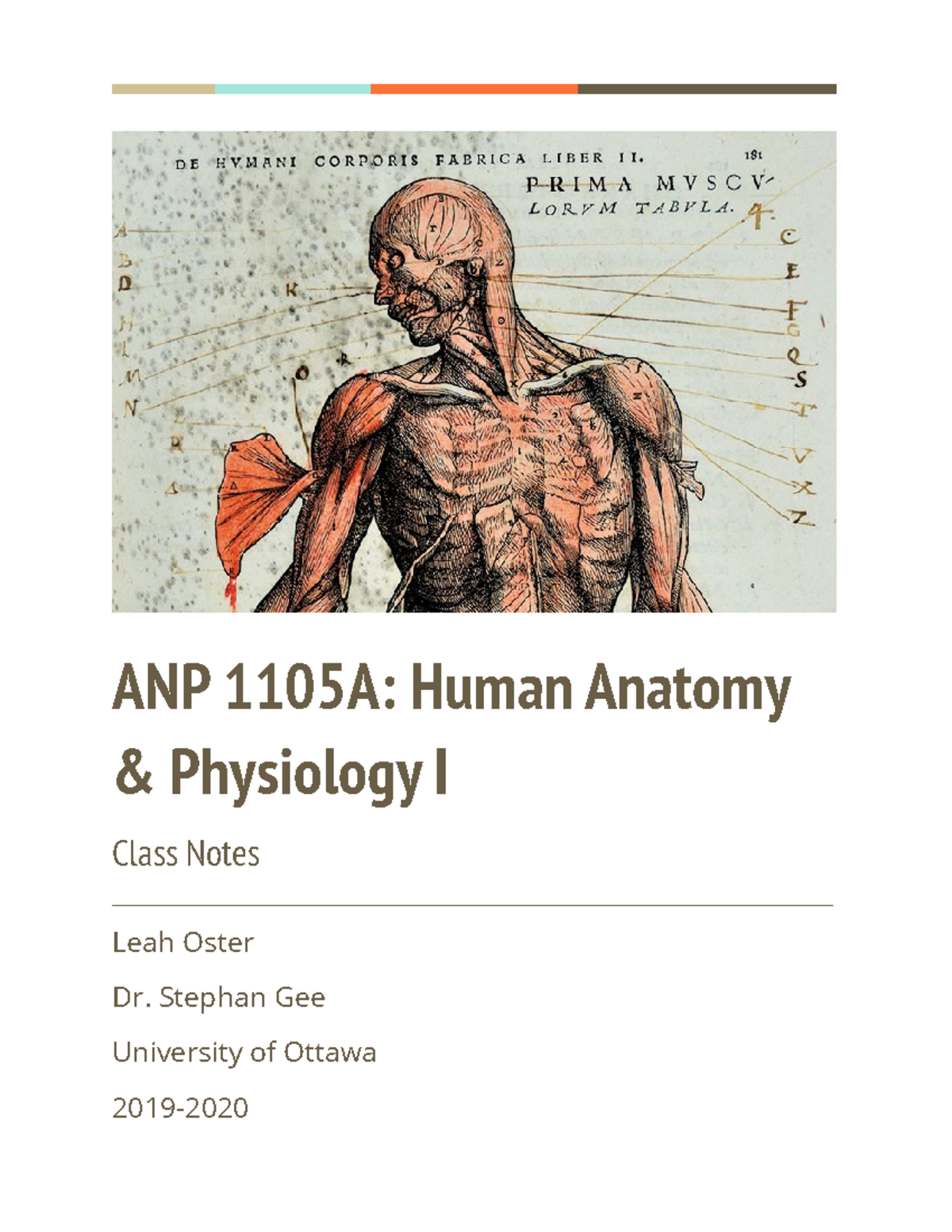 ANP 1105A: Human Anatomy - Lecture Notes Overview (Chapters 1-3) - Studocu