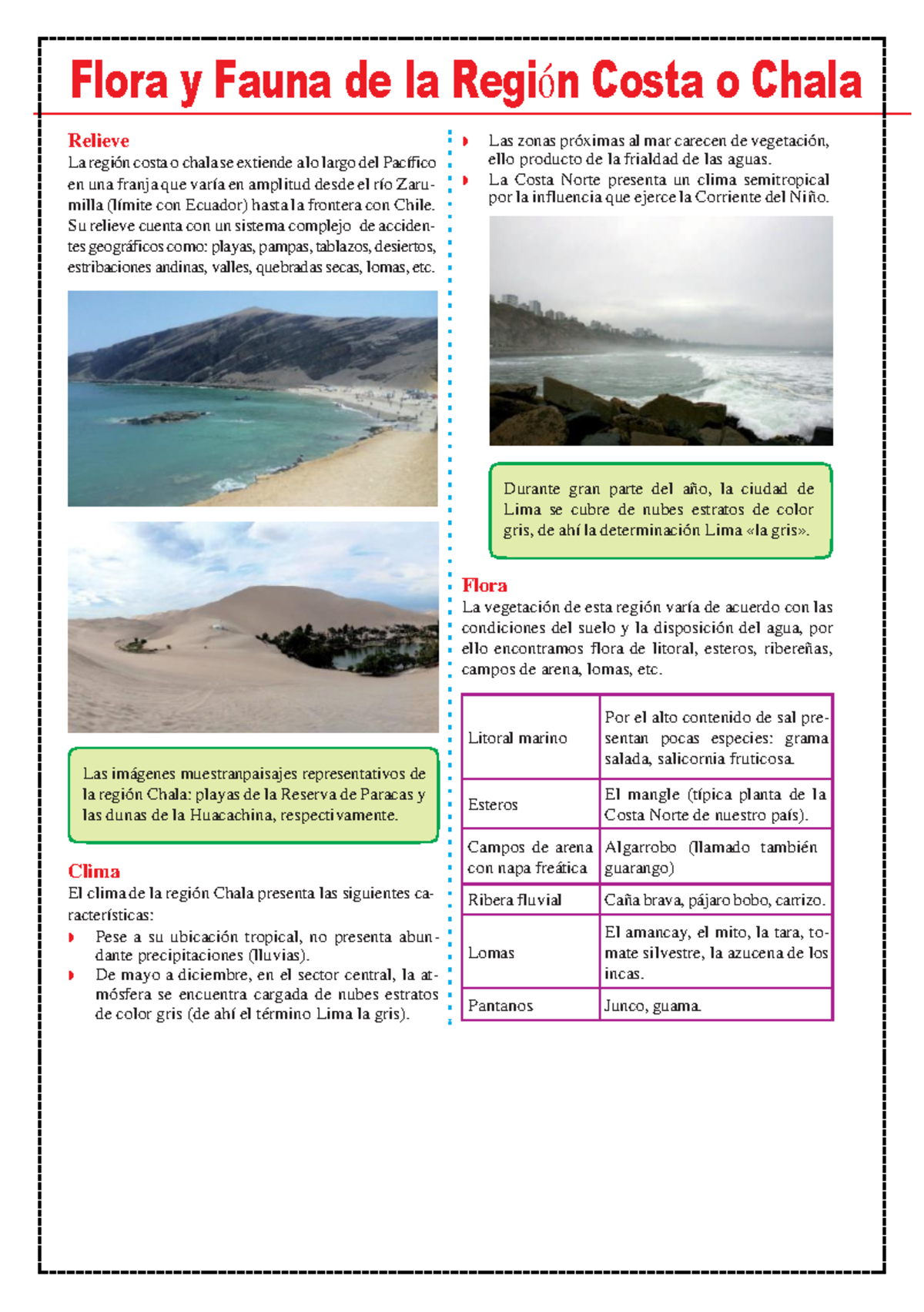 Flora y Fauna de la Región Costa o Chala - Guía para Sexto Grado - Studocu