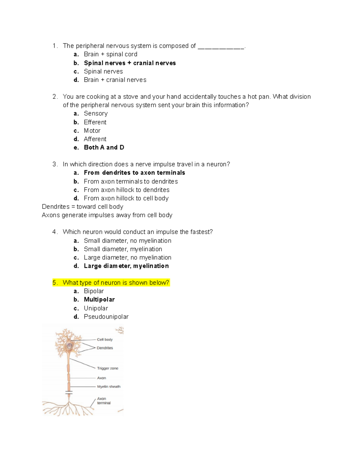 Final Review - The peripheral nervous system is composed of ...