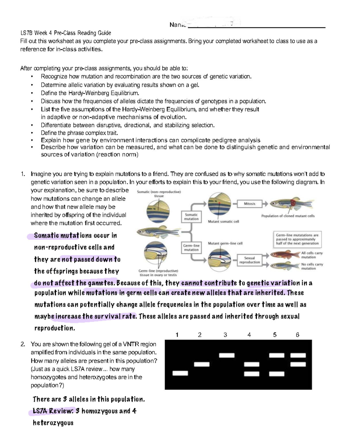 LS7B Week 4 Pre-Class Reading Guide on Genetic Variation and ...