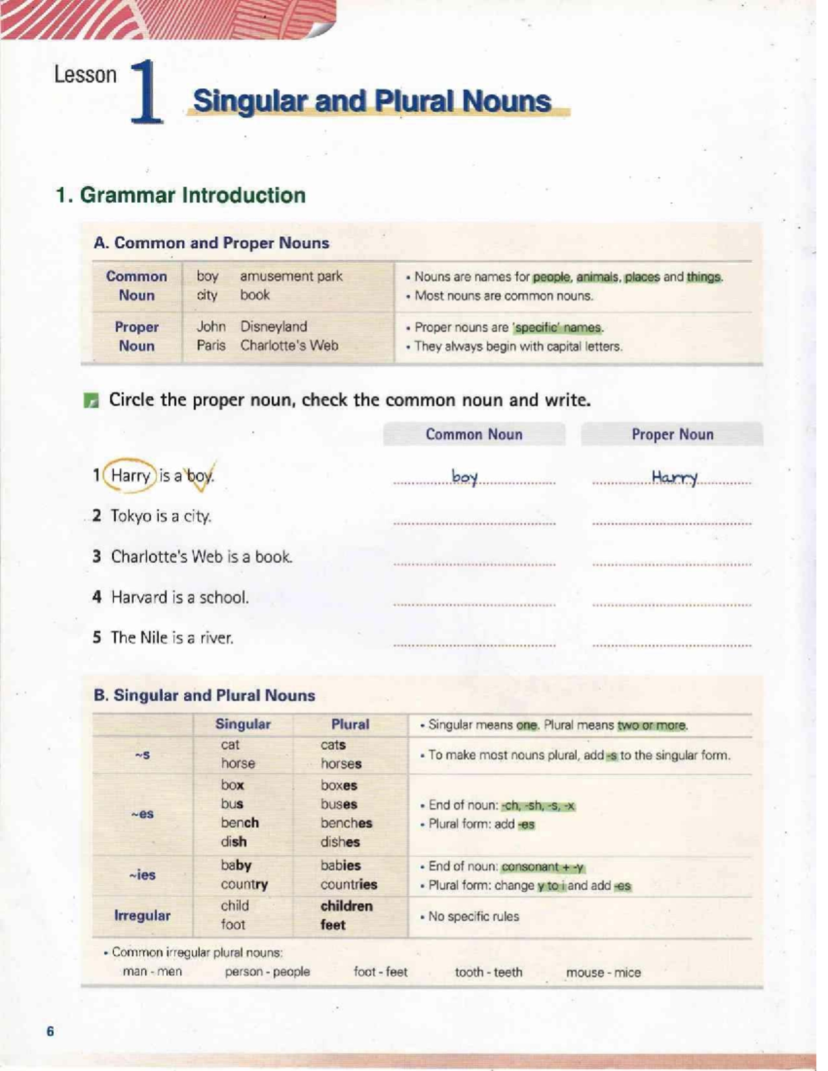Lesson 1: Singular and Plural Nouns - Grammar Overview (L5) - Studocu