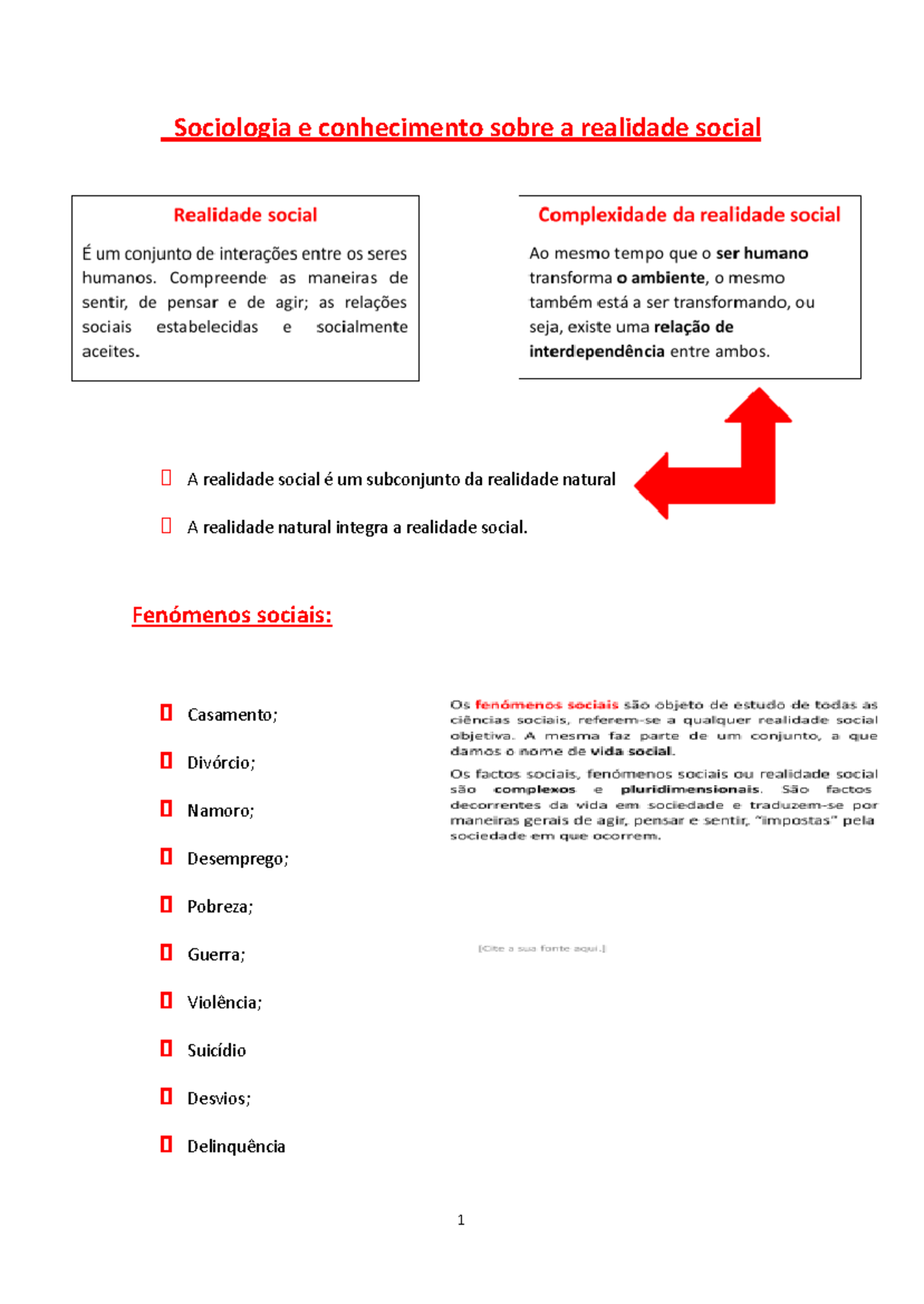 Sociologia e conhecimento sobre a realidade social - Fenómenos sociais ...