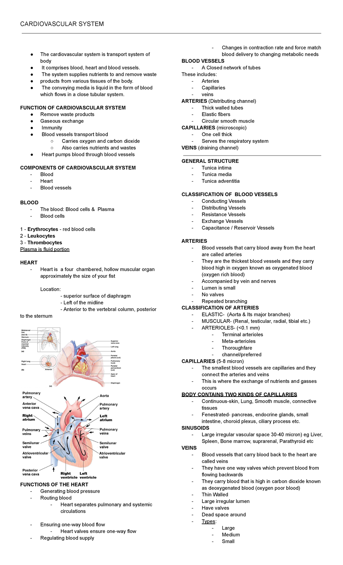 CVS - Review notes - CARDIOVASCULAR SYSTEM The cardiovascular system is ...