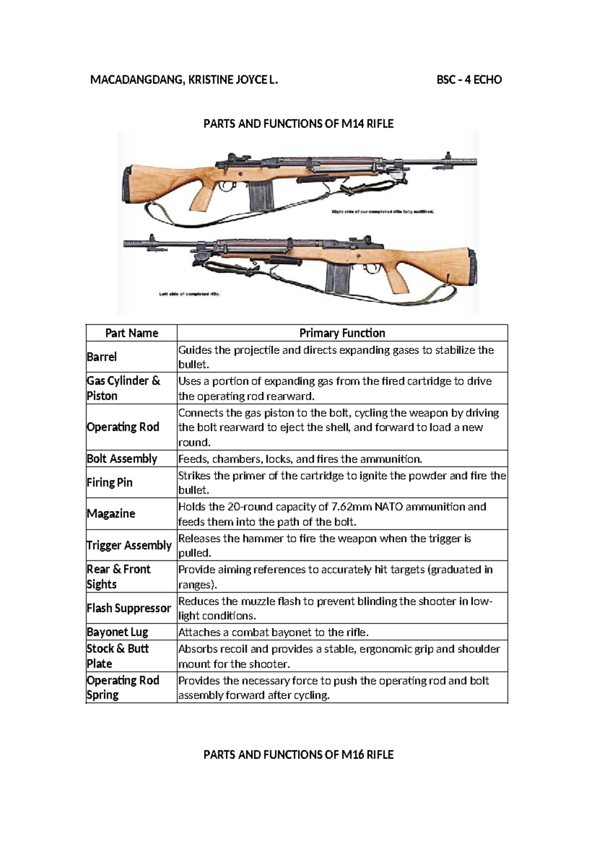BSC 4 ECHO: Parts and Functions of M14 and M16 Rifles - Studocu