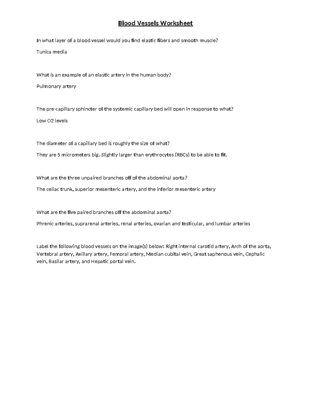 BIOS255 Week 3 Lab Report: Understanding Blood Vessels and Circulation ...