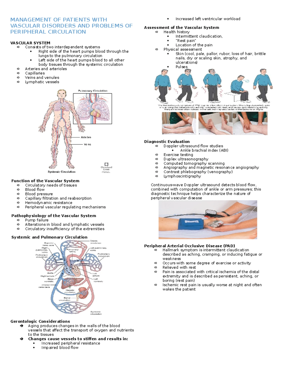 Roles OF THE Nurse IN A Therapeutic Relationship - ROLES OF THE NURSE ...