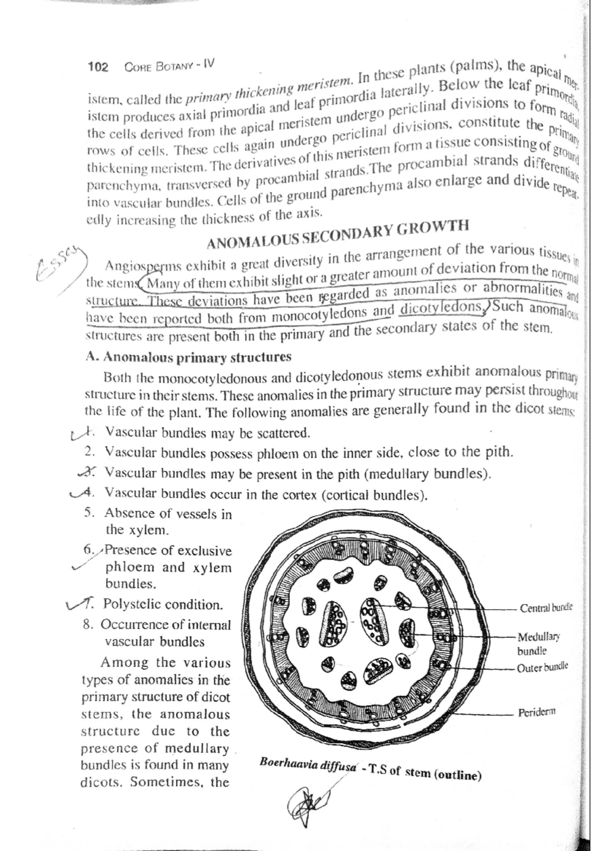 History of Plant Taxonomy: Key Developments and Concepts - Studocu
