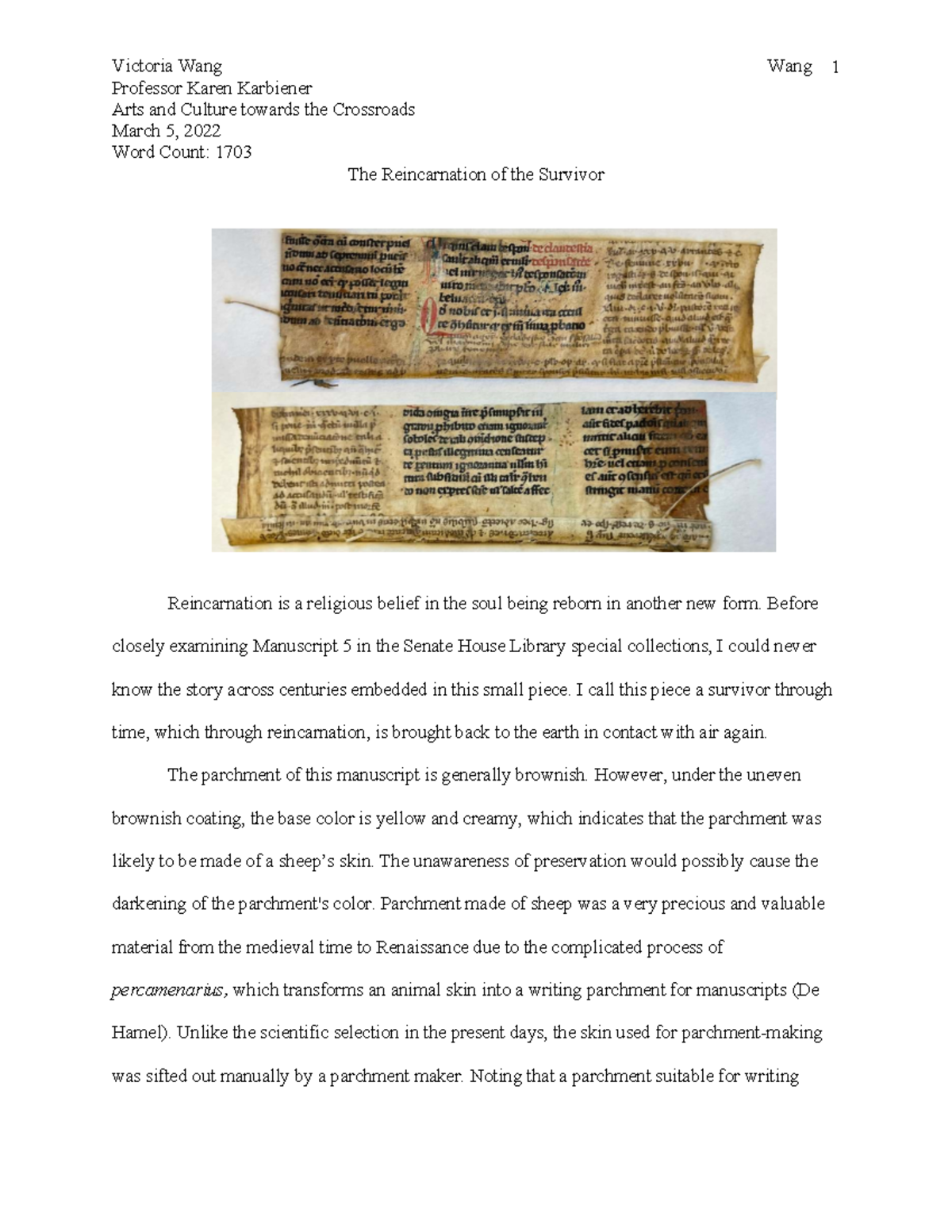 Reincarnation of the Survivor: Manuscript Analysis (Arts & Culture ...
