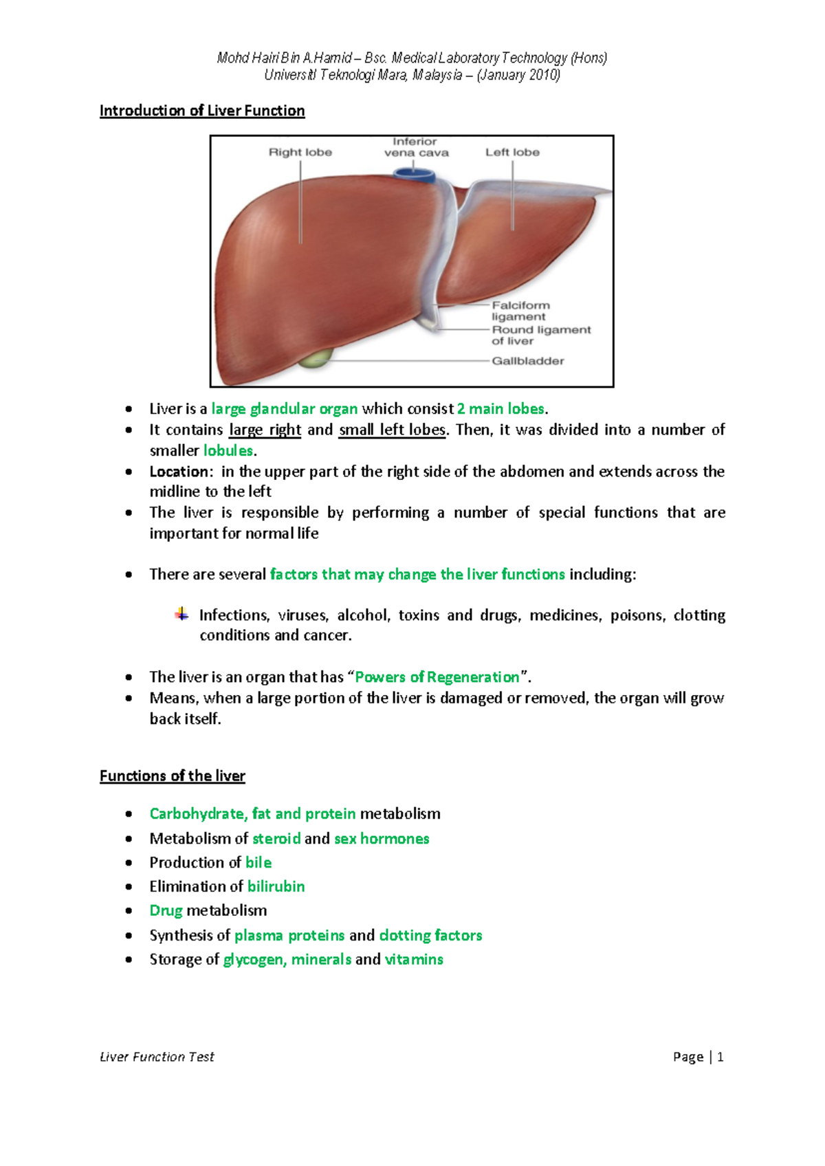 Liver Function Tests and Bilirubin: Insights and Implications 76879668 ...