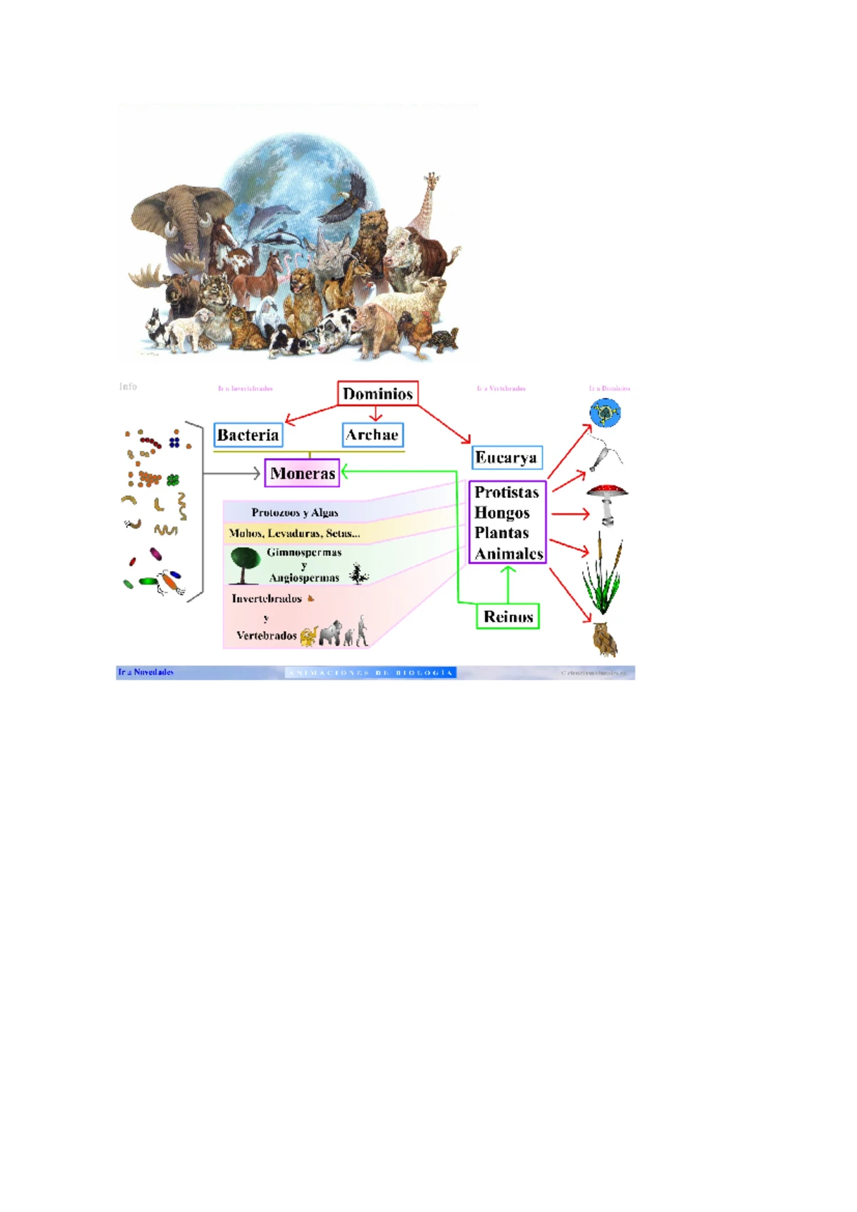 Crucigramas sobre El Reino Monera: Definiciones y Conceptos - Studocu